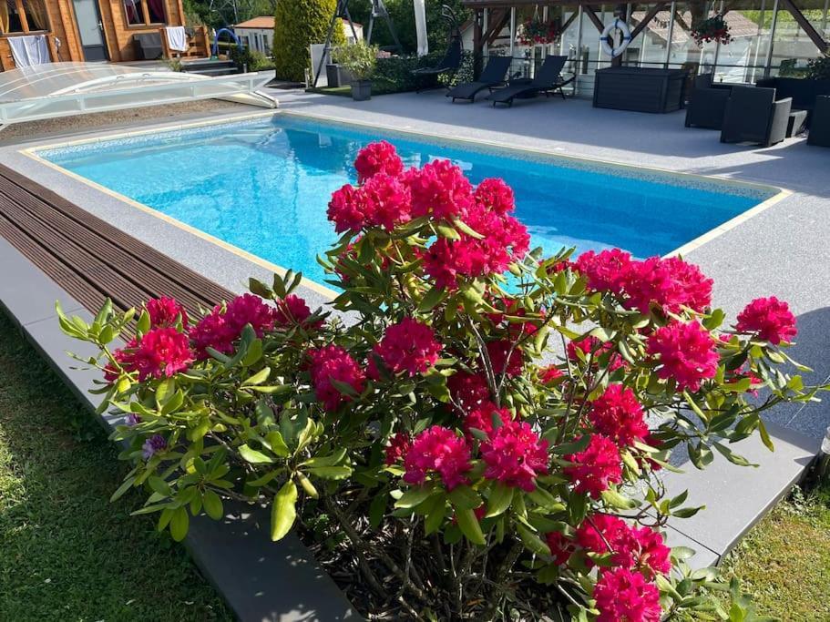 Chalet 2 Personnes Avec Jacuzzi Et Piscine Saisonniere Partagee Corcieux ภายนอก รูปภาพ