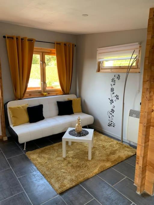 Chalet 2 Personnes Avec Jacuzzi Et Piscine Saisonniere Partagee Corcieux ภายนอก รูปภาพ